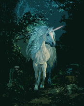 Carica l'immagine nel visualizzatore di Gallery, Dipingere con i numeri - Unicorno Bianco Di Notte
