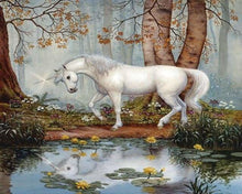 Carica l'immagine nel visualizzatore di Gallery, Dipingere con i numeri - Unicorno Nella Foresta