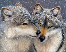 Carica l'immagine nel visualizzatore di Gallery, Dipingere con i numeri - Lupi E Neve