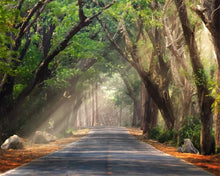 Carica l'immagine nel visualizzatore di Gallery, Dipingere con i numeri - Strada Nel Bosco