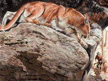 Carica l'immagine nel visualizzatore di Gallery, Dipingere con i numeri - Lince
