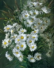 Carica l'immagine nel visualizzatore di Gallery, Dipingere con i numeri - Margherite Bianche
