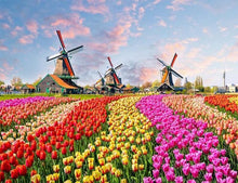 Carica l'immagine nel visualizzatore di Gallery, Dipingere con i numeri - Mulini E Fiori
