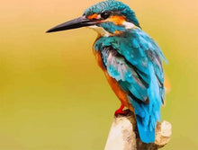 Carica l'immagine nel visualizzatore di Gallery, Dipingere con i numeri - Grazioso Uccellino