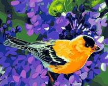 Carica l'immagine nel visualizzatore di Gallery, Dipingere con i numeri - Uccello Arancione