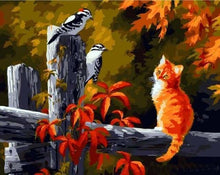 Carica l'immagine nel visualizzatore di Gallery, Dipingere con i numeri - Due Uccelli E Gatto