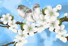 Carica l'immagine nel visualizzatore di Gallery, Dipingere con i numeri - Uccelli E Magnolia Bianca