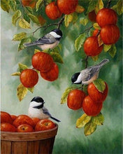 Carica l'immagine nel visualizzatore di Gallery, Dipingere con i numeri - Uccelli Su Mele Rosse