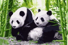Carica l'immagine nel visualizzatore di Gallery, Dipingere con i numeri - Panda In Giappone