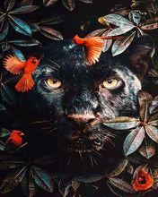 Carica l'immagine nel visualizzatore di Gallery, Dipingere con i numeri - Lo sguardo della pantera nera