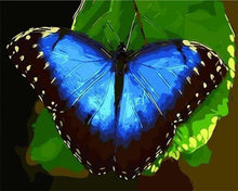 Carica l'immagine nel visualizzatore di Gallery, Dipingere con i numeri - Farfalla Blu