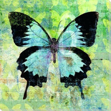 Carica l'immagine nel visualizzatore di Gallery, Dipingere con i numeri - Farfalla Verde E Nera