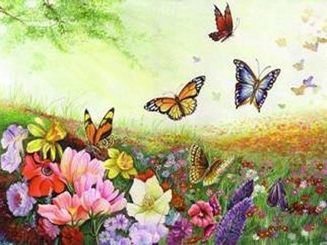 YEESAM ART Pittura Ad Olio Con Numeri - Kit Fai Da Te - Uccelli E Farfalle Tra I Fiori - Tela 40x50 Cm (Senza Cornice)
