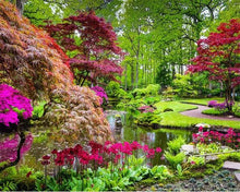 Carica l'immagine nel visualizzatore di Gallery, Dipingere con i numeri - Bellissimo Parco