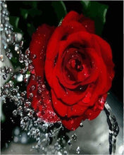 Carica l'immagine nel visualizzatore di Gallery, Dipingere con i numeri - Fragranza Di Rosa Rossa