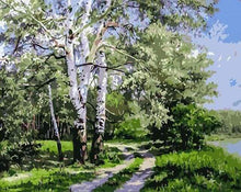 Carica l'immagine nel visualizzatore di Gallery, Dipingere con i numeri - Paesaggio Con Pioppi