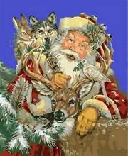 Carica l'immagine nel visualizzatore di Gallery, Dipingere con i numeri - Babbo Natale Con Alcuni Animali