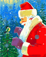 Carica l'immagine nel visualizzatore di Gallery, Dipingere con i numeri - Babbo Natale Con Uccellino