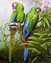 Carica l'immagine nel visualizzatore di Gallery, Dipingere con i numeri - Pappagalli Verdi