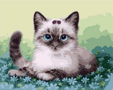 Carica l'immagine nel visualizzatore di Gallery, Dipingere con i numeri - Gattino E Fiori