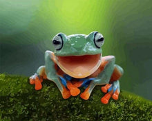 Carica l'immagine nel visualizzatore di Gallery, Dipingere con i numeri - Piccola Rana