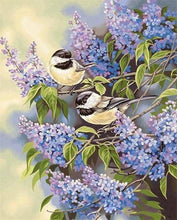 Carica l'immagine nel visualizzatore di Gallery, Dipingere con i numeri - Uccelli Sui Rami Di Lillà