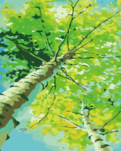 Carica l'immagine nel visualizzatore di Gallery, Dipingere con i numeri - Pioppo In Primavera