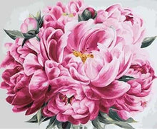 Carica l'immagine nel visualizzatore di Gallery, Dipingere con i numeri - Peonia Rosa