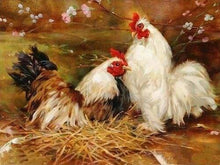 Carica l'immagine nel visualizzatore di Gallery, Dipingere con i numeri - Gallina e gallo