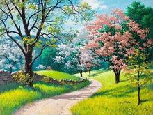 Carica l'immagine nel visualizzatore di Gallery, Dipingere con i numeri - Passeggiata Durante La Stagione Primaverile