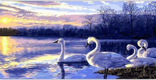 Carica l'immagine nel visualizzatore di Gallery, Dipingere con i numeri - Quattro Cigni