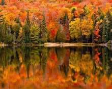 Carica l'immagine nel visualizzatore di Gallery, Dipingere con i numeri - Riflessi Sul Lago In Autunno