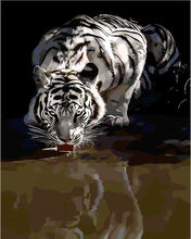 Carica l'immagine nel visualizzatore di Gallery, Dipingere con i numeri - Riflesso Della Tigre