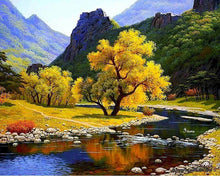 Carica l'immagine nel visualizzatore di Gallery, Dipingere con i numeri - Riflessi autunnali