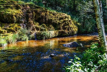 Carica l'immagine nel visualizzatore di Gallery, Dipingere con i numeri - Fiume Di Pesca