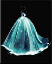 Carica l'immagine nel visualizzatore di Gallery, Dipingere con i numeri - Vestito Da Sposa