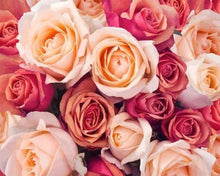 Carica l'immagine nel visualizzatore di Gallery, Dipingere con i numeri - Pesche Rosa E Arancioni