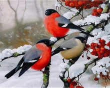 Carica l'immagine nel visualizzatore di Gallery, Dipingere con i numeri - Pettirossi nella neve