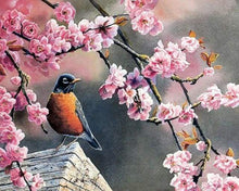 Carica l'immagine nel visualizzatore di Gallery, Dipingere con i numeri - Pettirosso Europeo In Primavera