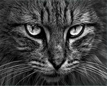 Carica l'immagine nel visualizzatore di Gallery, Dipingere con i numeri - Testa Di Gatto