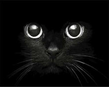 Carica l'immagine nel visualizzatore di Gallery, Dipingere con i numeri - Testa Di Gatto Nero
