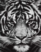 Carica l'immagine nel visualizzatore di Gallery, Dipingere con i numeri - Testa Di Tigre In Bianco E Nero
