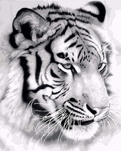 Carica l'immagine nel visualizzatore di Gallery, Dipingere con i numeri - Tigre Siberiana