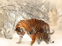 Carica l'immagine nel visualizzatore di Gallery, Dipingere con i numeri - Tigri Durante L'Inverno