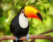 Carica l'immagine nel visualizzatore di Gallery, Dipingere con i numeri - Tucano