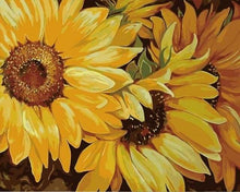 Carica l'immagine nel visualizzatore di Gallery, Dipingere con i numeri - Girasole In Piena Fioritura