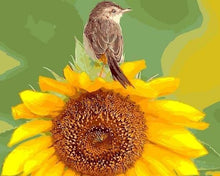 Carica l'immagine nel visualizzatore di Gallery, Dipingere con i numeri - Girasole E Uccello