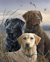 Carica l'immagine nel visualizzatore di Gallery, Dipingere con i numeri - Trio di Labrador