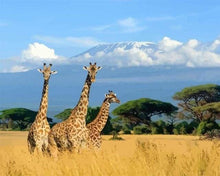 Carica l'immagine nel visualizzatore di Gallery, Dipingere con i numeri - Tre Giraffe