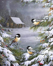 Carica l'immagine nel visualizzatore di Gallery, Dipingere con i numeri - Tre Uccelli Nella Neve